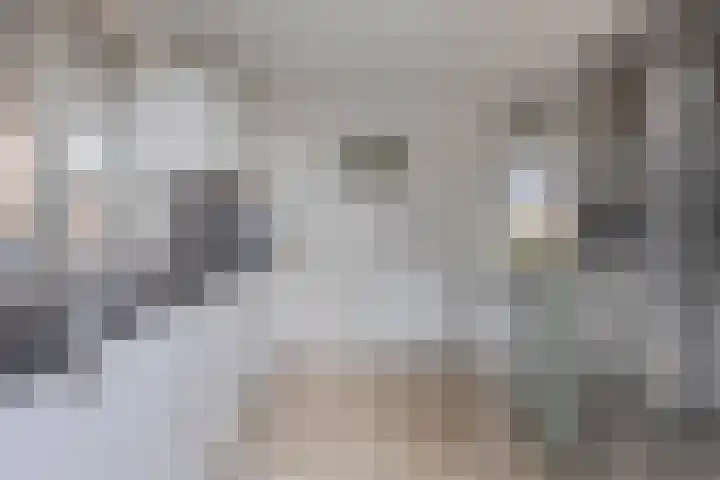 Ruiterspoor 37 Den Hout thumbnail 17