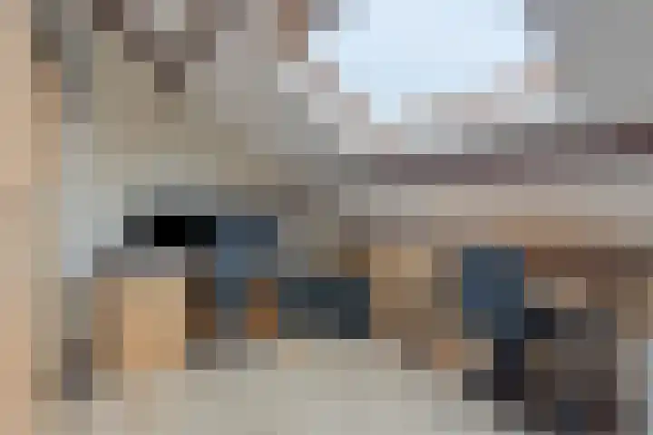 Ruiterspoor 37 Den Hout thumbnail 28