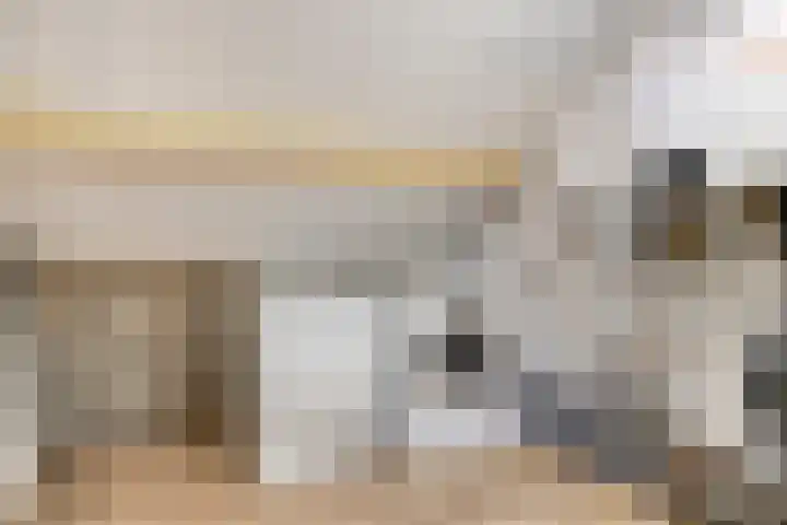 Ruiterspoor 37 Den Hout thumbnail 30