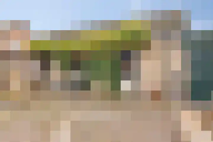Ruiterspoor 37 Den Hout thumbnail 37
