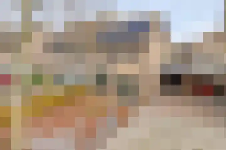 Ruiterspoor 37 Den Hout thumbnail 42