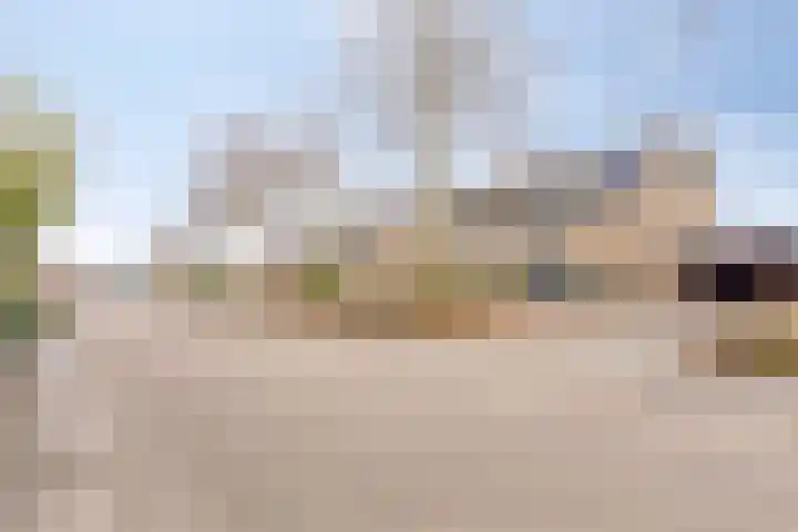 Ruiterspoor 37 Den Hout thumbnail 45