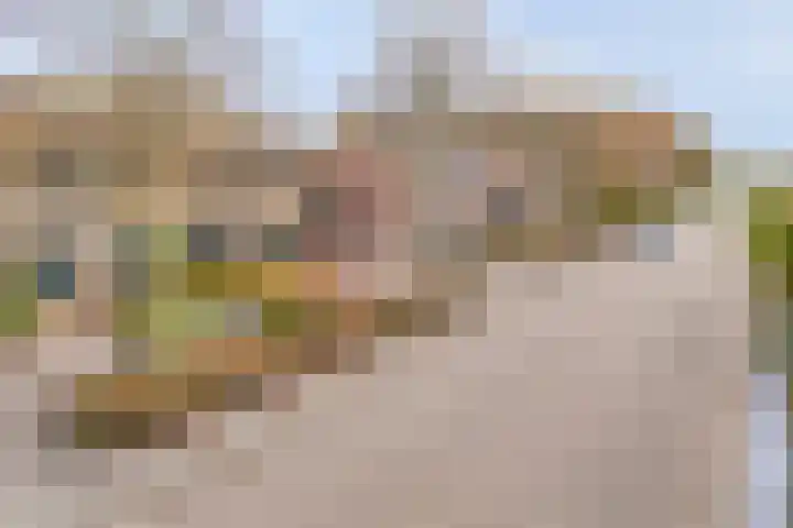 Ruiterspoor 37 Den Hout thumbnail 46