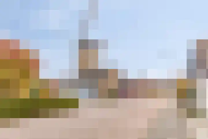 Ruiterspoor 37 Den Hout thumbnail 48