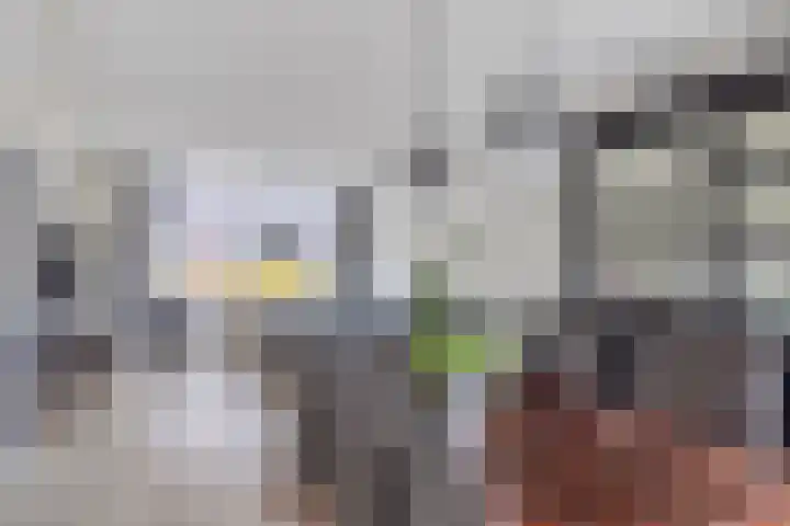 Ruiterspoor 37 Den Hout thumbnail 5