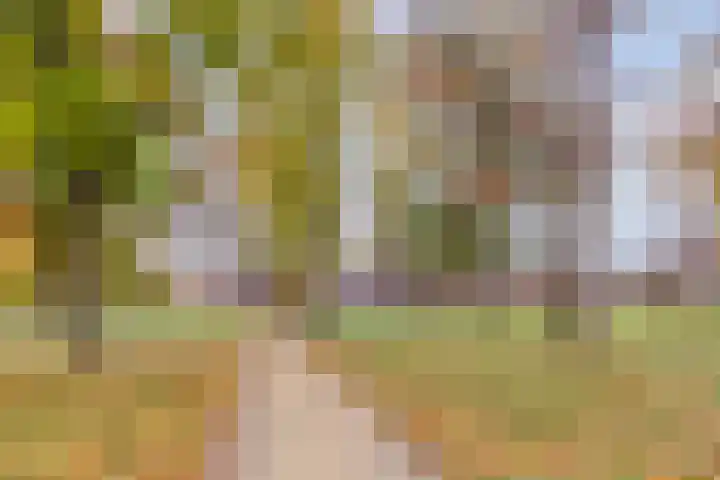 Ruiterspoor 37 Den Hout thumbnail 50