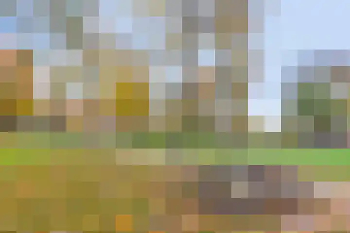 Ruiterspoor 37 Den Hout thumbnail 51