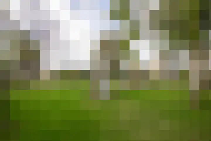 Ruiterstede 18 Nieuwegein thumbnail 36