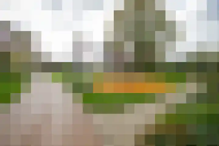 Ruiterstede 18 Nieuwegein thumbnail 37