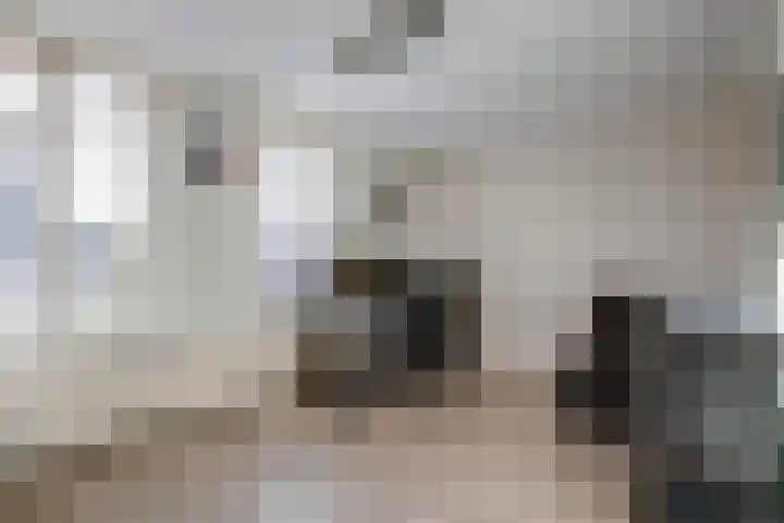 Ruiterstede 18 Nieuwegein thumbnail 9
