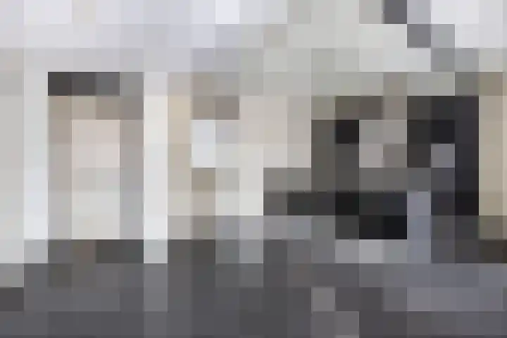 Ruiterstede 22 Nieuwegein thumbnail 6