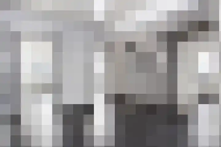 Ruiterstede 22 Nieuwegein thumbnail 8
