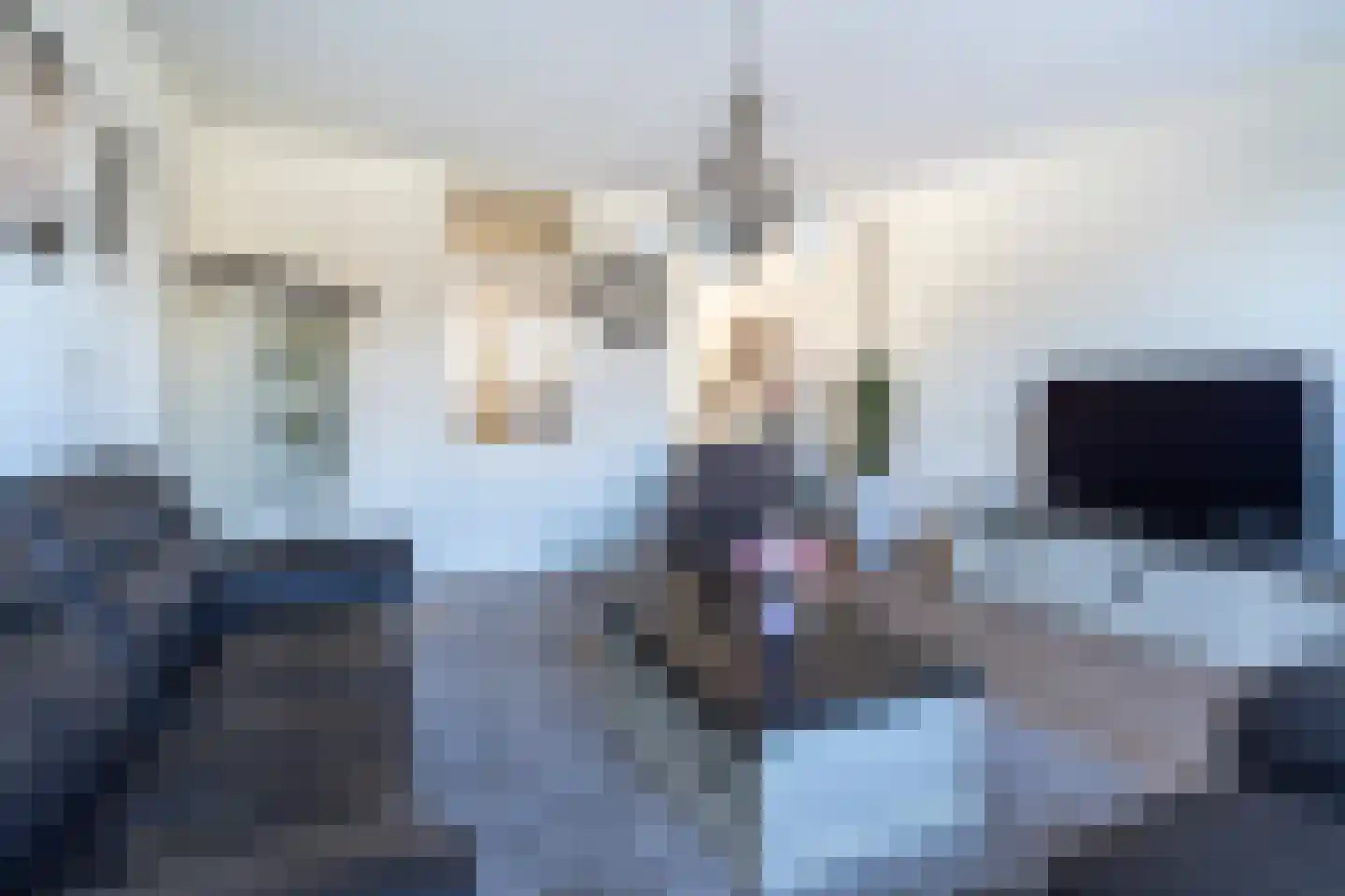 Ruiterstede 68 Nieuwegein thumbnail 8