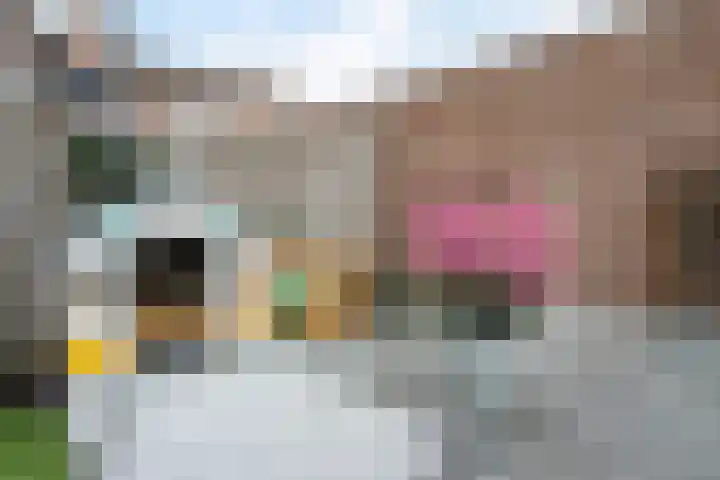 Ruiterstede 78 Nieuwegein thumbnail 21
