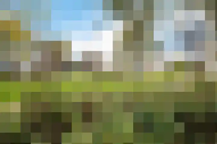 Ruiterstede 78 Nieuwegein thumbnail 22
