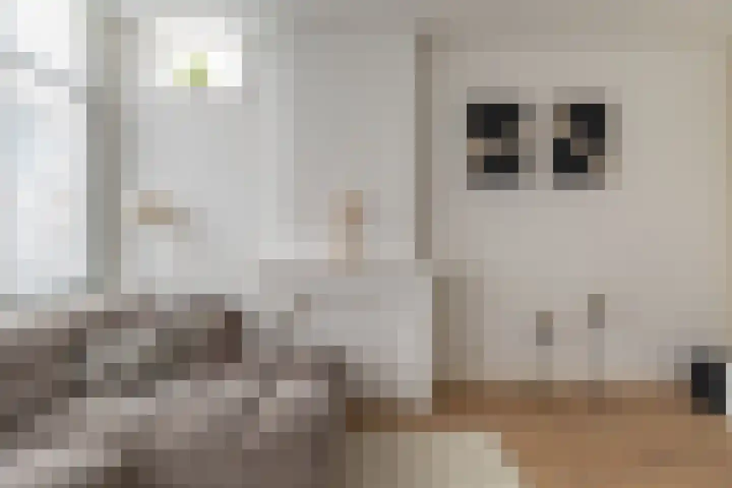 Ruitersteeg 2 Alkmaar thumbnail 12