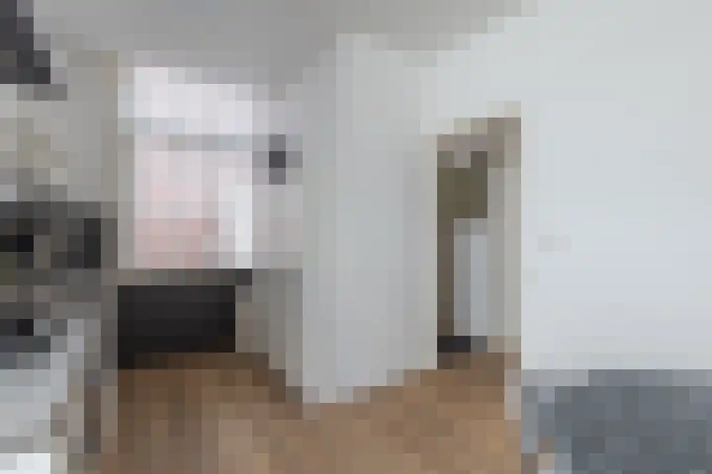 Ruitersteeg 2 Alkmaar thumbnail 15