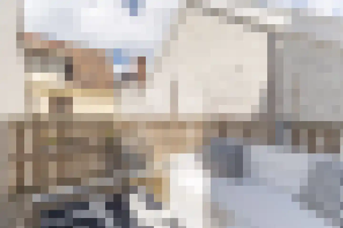 Ruitersteeg 2 Alkmaar thumbnail 38