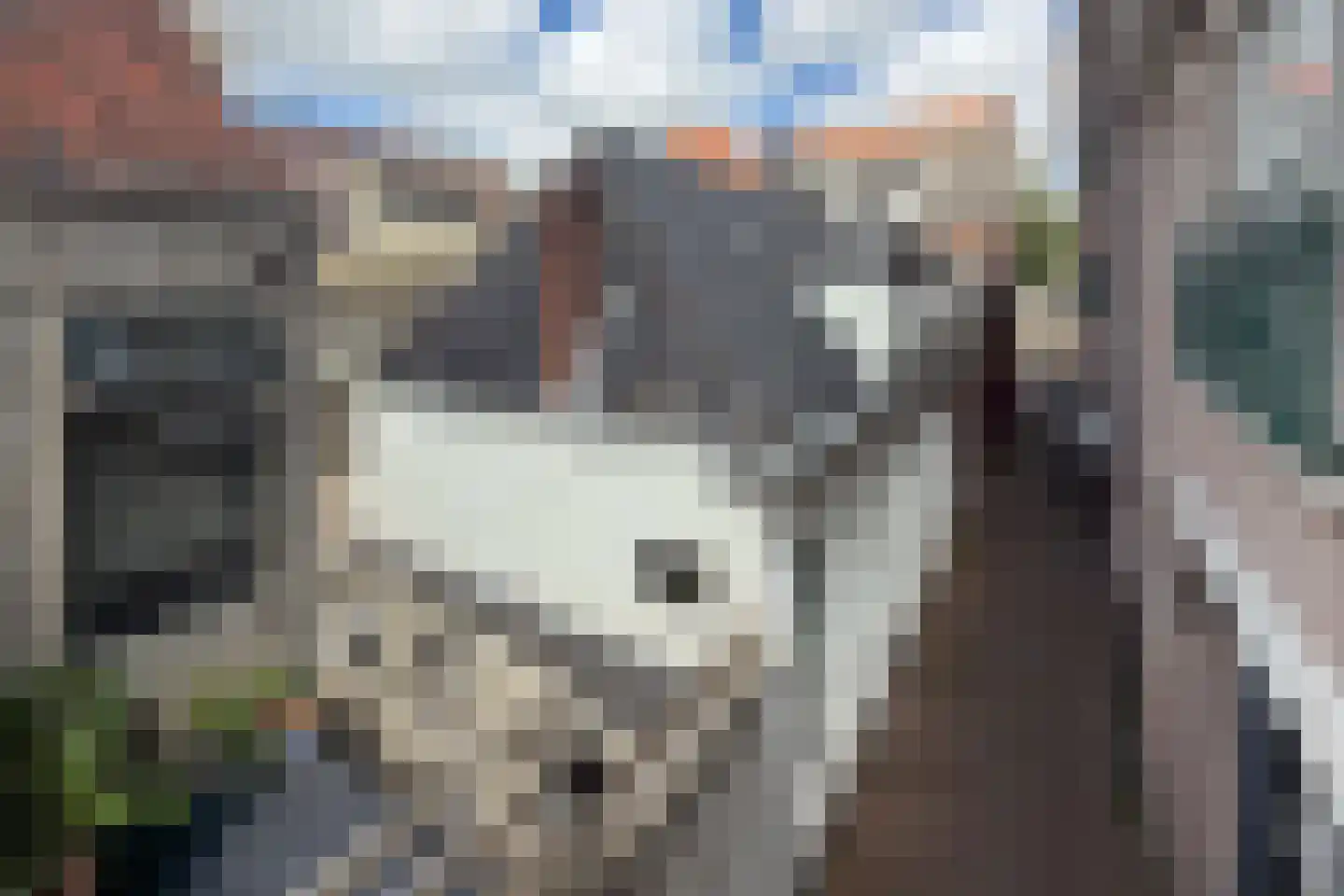 Ruitersteeg 2 Alkmaar thumbnail 6