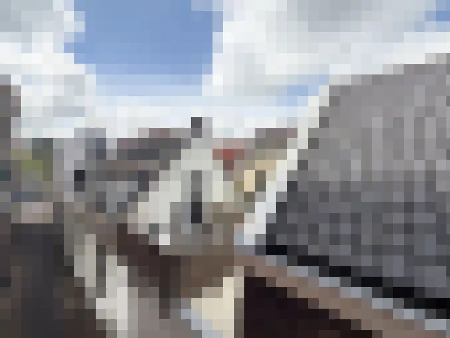 Ruitersteeg 2 Alkmaar thumbnail 7