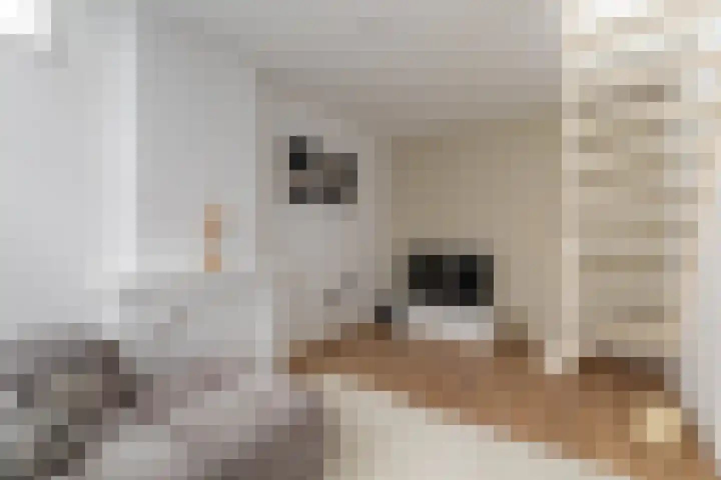 Ruitersteeg 2 Alkmaar thumbnail 8