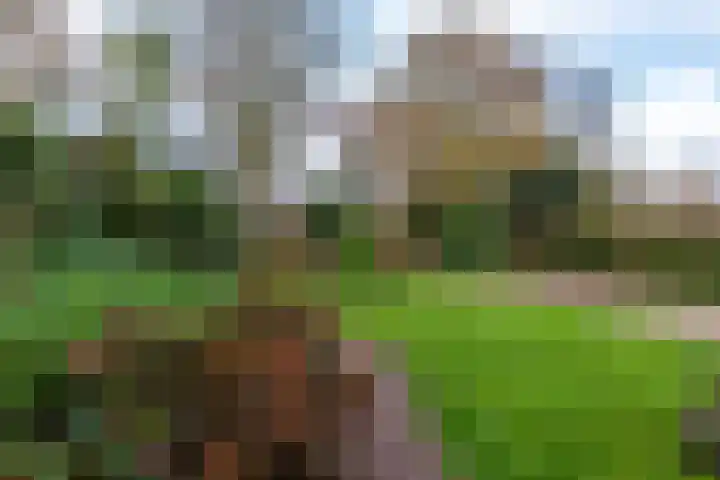 Ruitersteeg 6 Haren Gn thumbnail 4