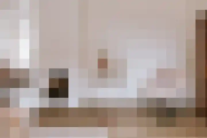 Ruiterstraat 1 Horn thumbnail 10