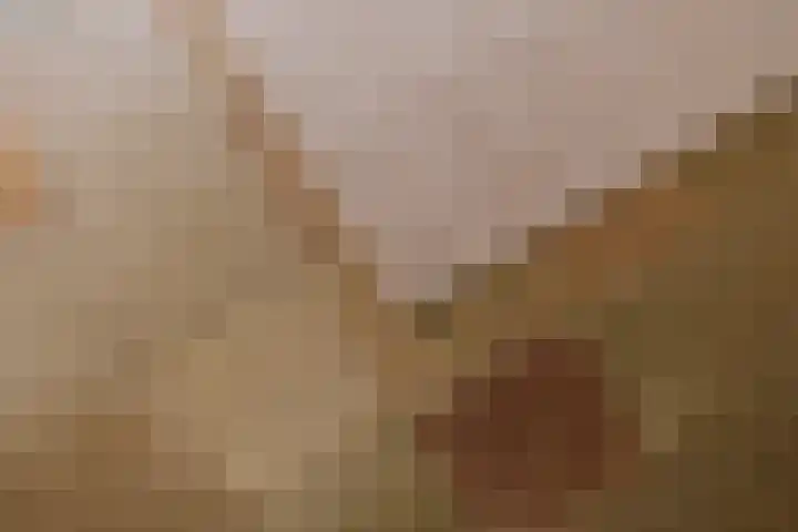 Ruiterstraat 1 Horn thumbnail 12