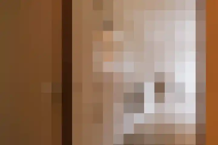 Ruiterstraat 1 Horn thumbnail 16