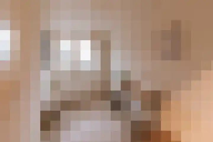 Ruiterstraat 1 Horn thumbnail 20