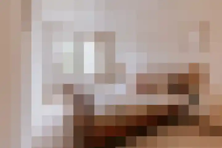 Ruiterstraat 1 Horn thumbnail 22