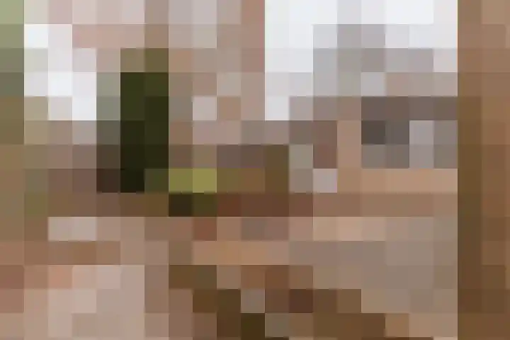 Ruiterstraat 1 Horn thumbnail 27
