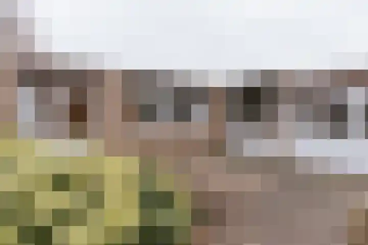 Ruiterstraat 1 Horn thumbnail 28