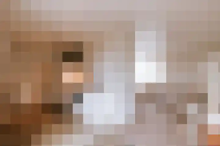 Ruiterstraat 1 Horn thumbnail 4