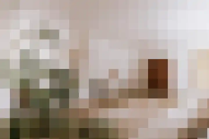 Ruiterstraat 1 Horn thumbnail 7
