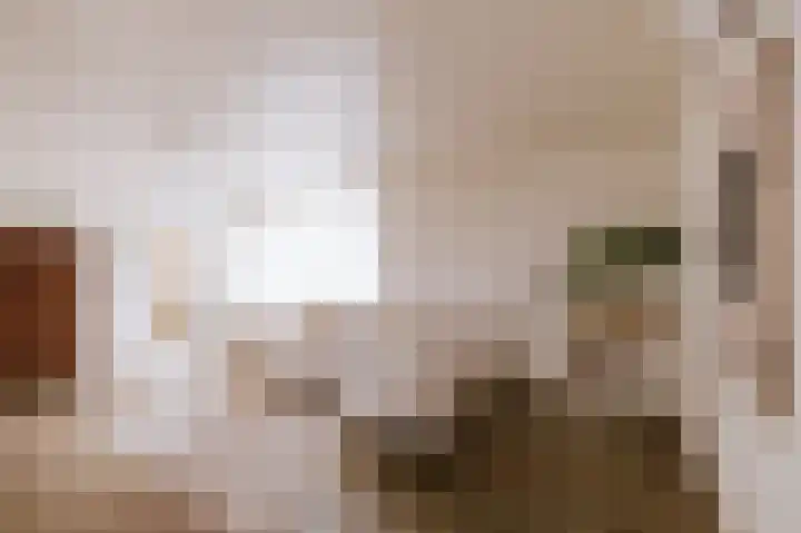 Ruiterstraat 1 Horn thumbnail 8