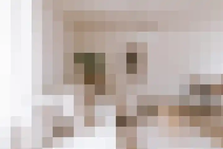Ruiterstraat 1 Horn thumbnail 9