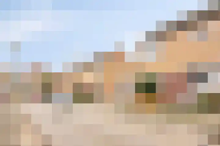Ruiterstraat 16 Horn thumbnail 4