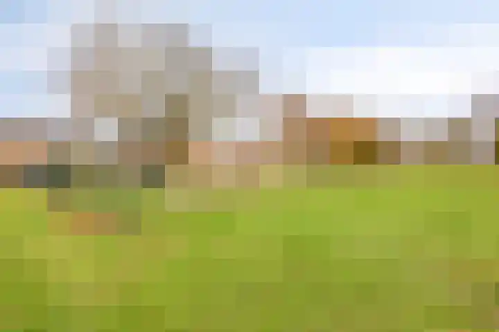 Ruiterstraat 16 Horn thumbnail 40