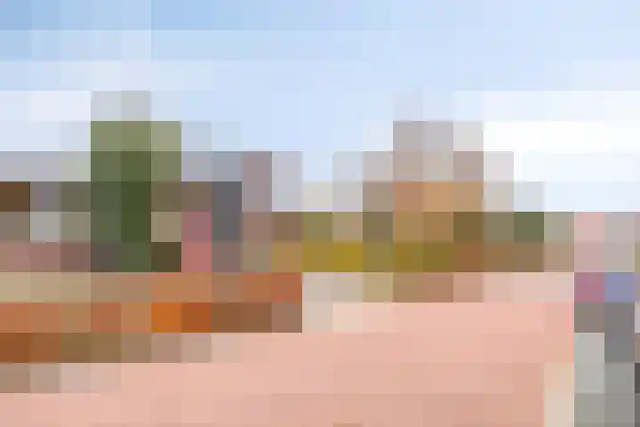 Ruiterstraat 16 Horn thumbnail 45