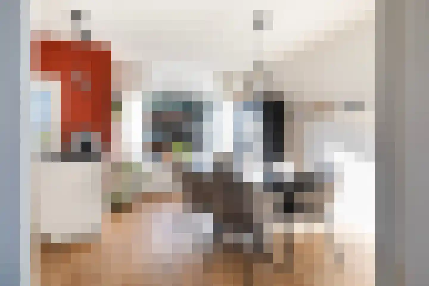 Ruiterstraat 22 Buitenpost thumbnail 11