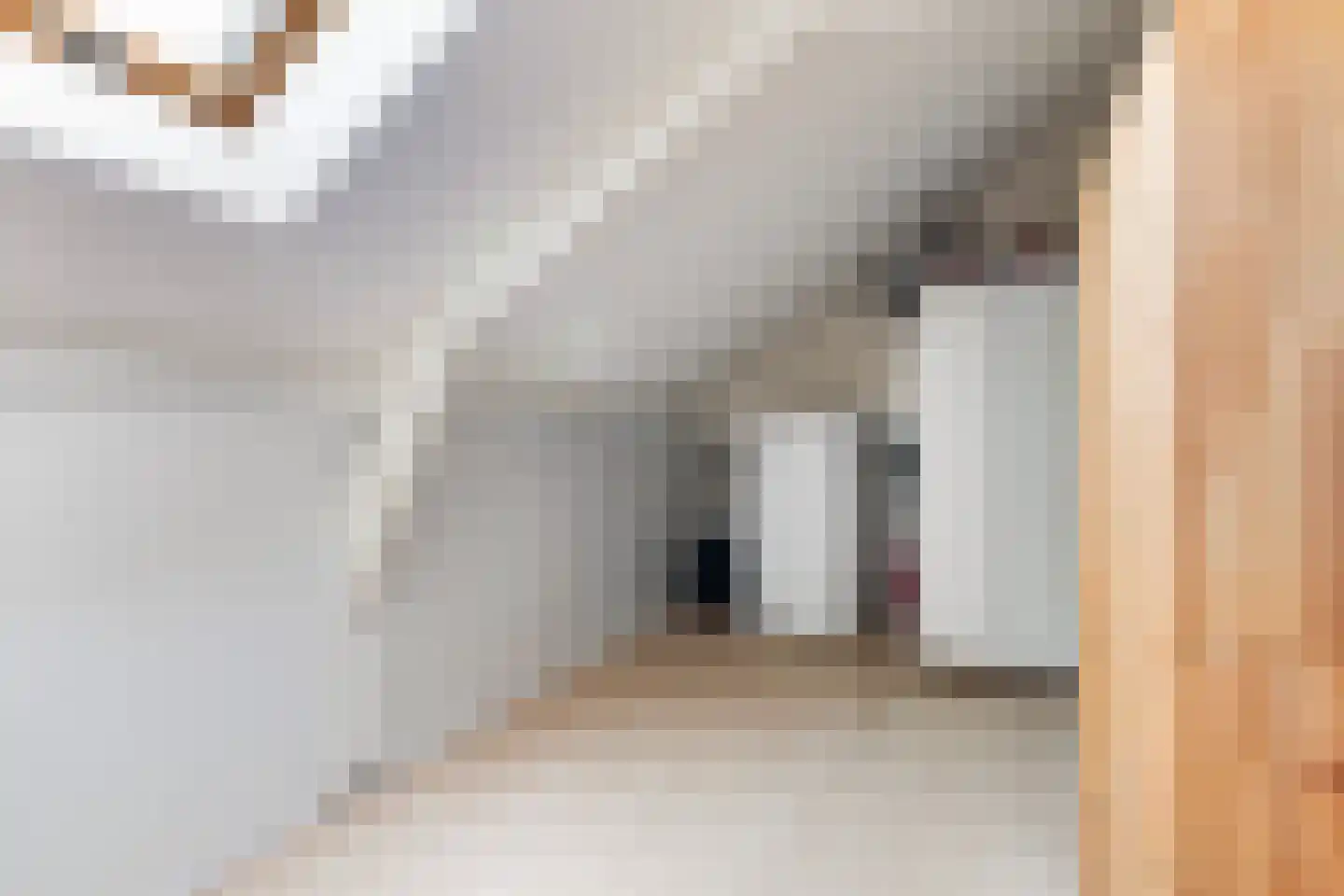 Ruiterstraat 22 Buitenpost thumbnail 36