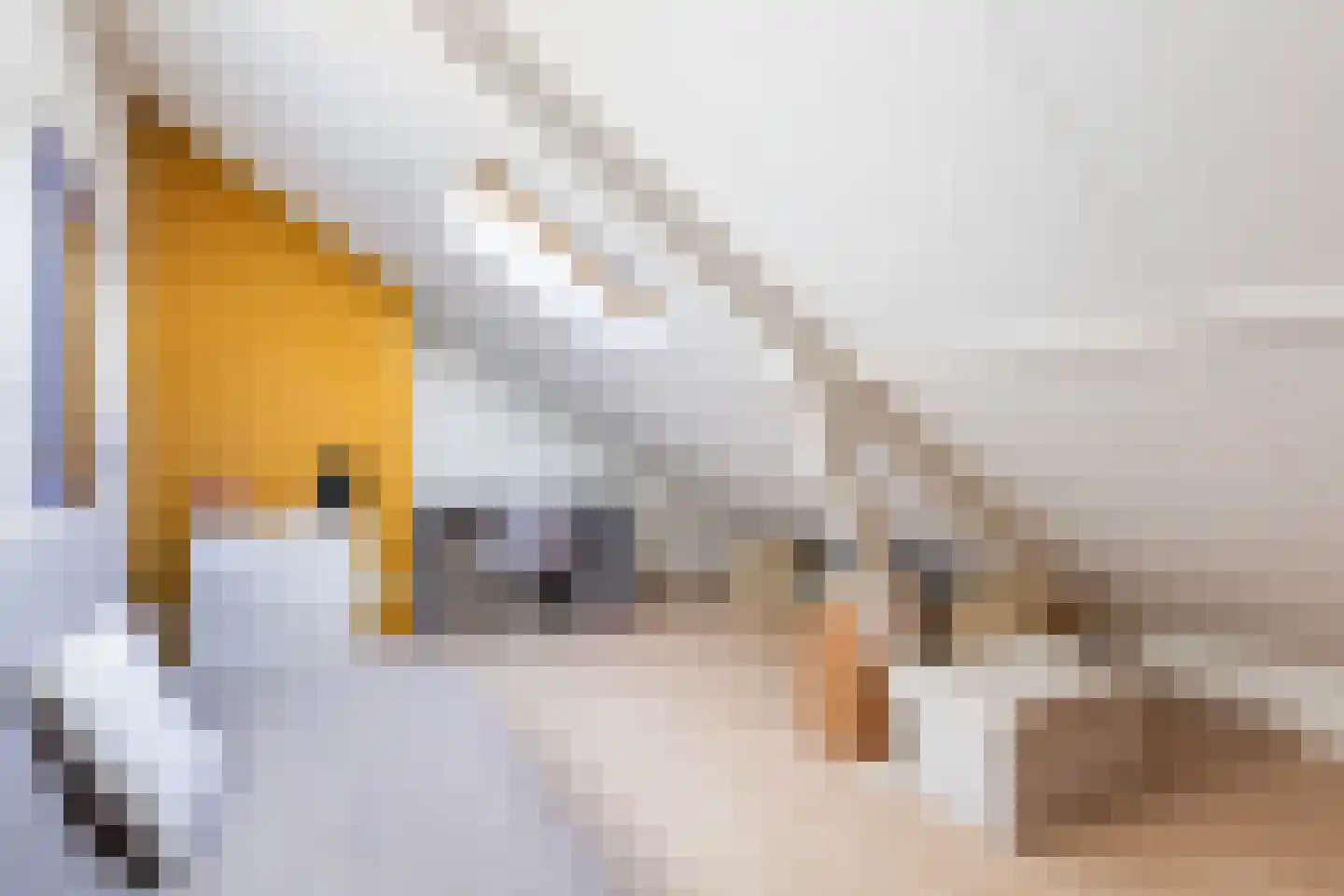 Ruiterstraat 22 Buitenpost thumbnail 39