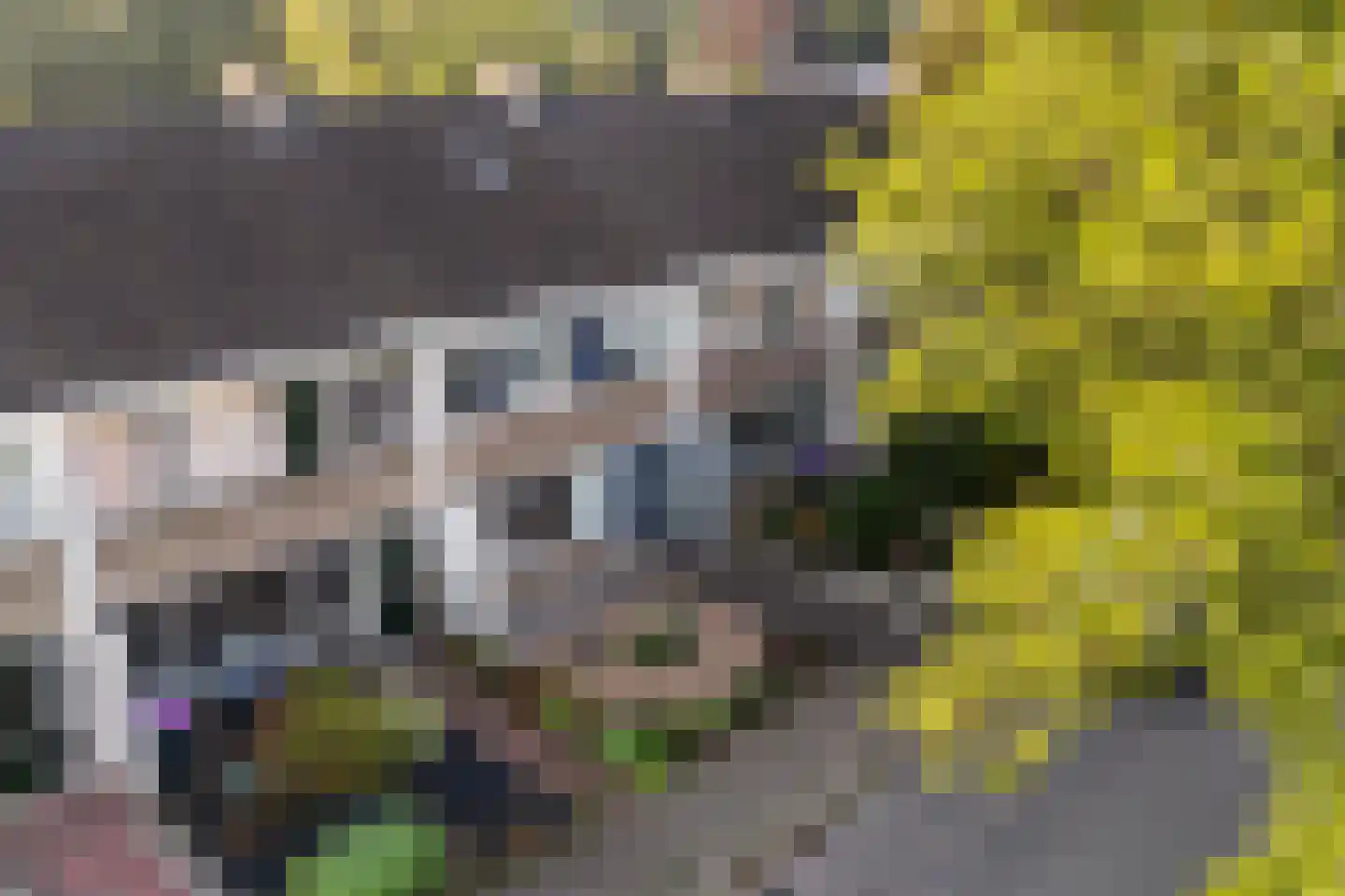 Ruiterstraat 22 Buitenpost thumbnail 40