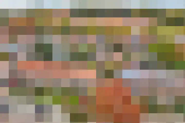 Ruiterstraat 23 Luttelgeest thumbnail 12