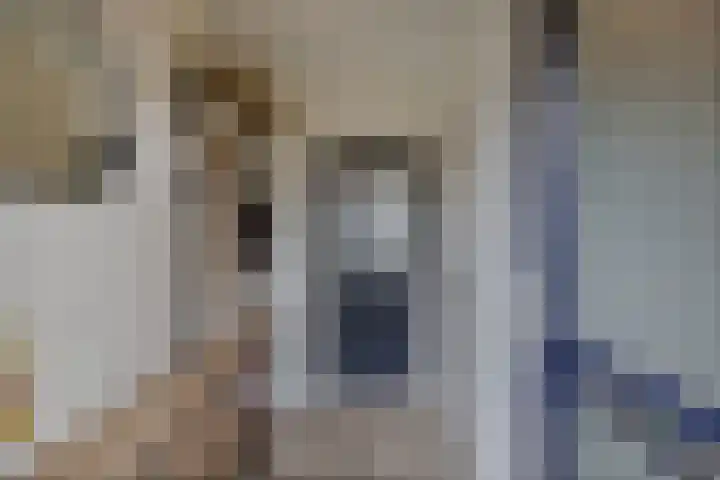 Ruiterstraat 23 Luttelgeest thumbnail 13