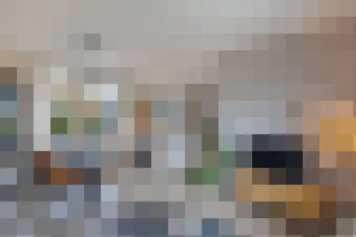 Ruiterstraat 23 Luttelgeest thumbnail 18