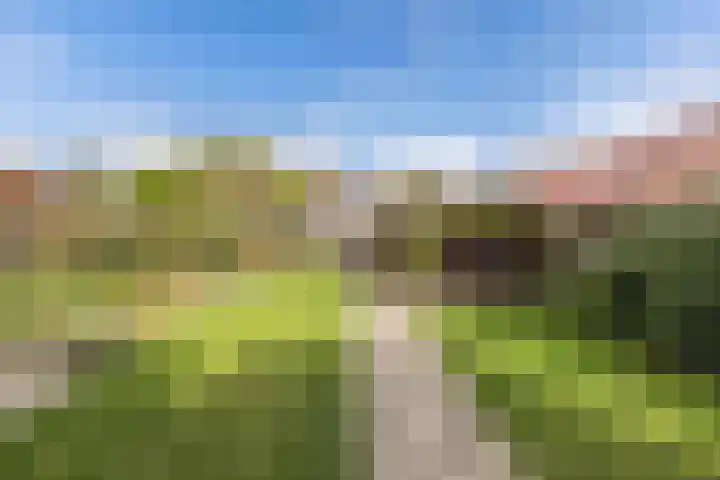 Ruiterstraat 23 Luttelgeest thumbnail 29