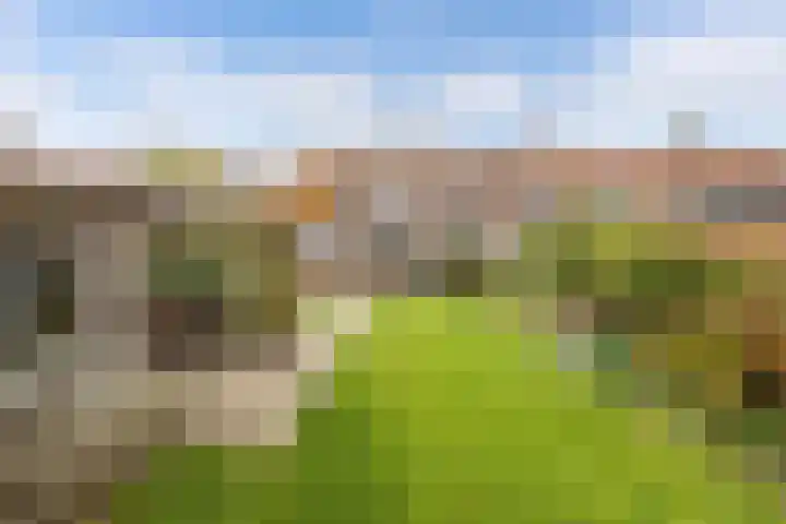 Ruiterstraat 23 Luttelgeest thumbnail 30