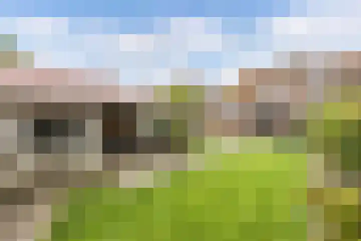 Ruiterstraat 23 Luttelgeest thumbnail 31